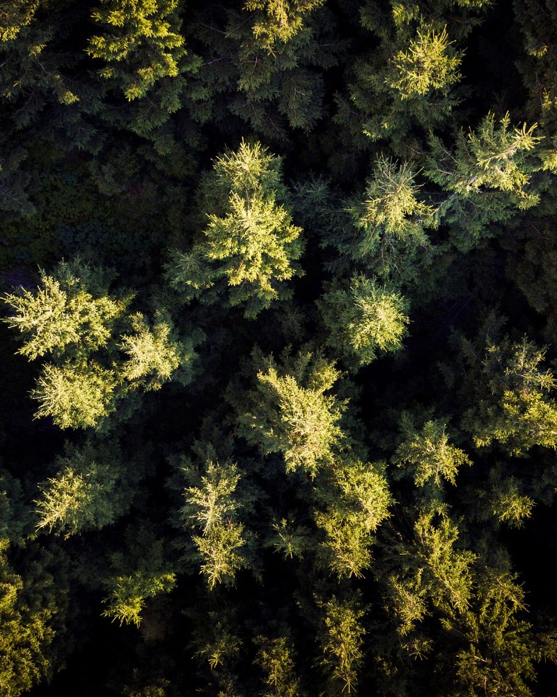 Układ hormonalny i metaboliczny wsparcie