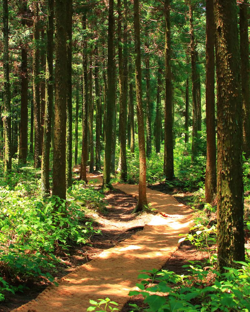 Układ nerwowy wsparcie