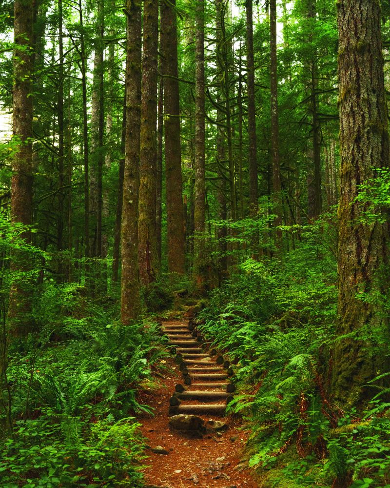 Wsparcie psychiki, stresu i snu