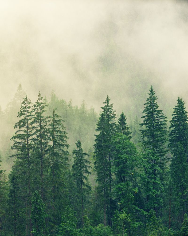 Wsparcie układu mięśniowo-szkieletowego