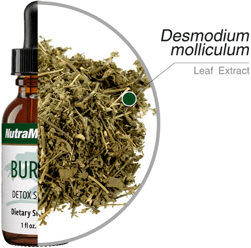 Składniki Burbur Detox NutraMedix