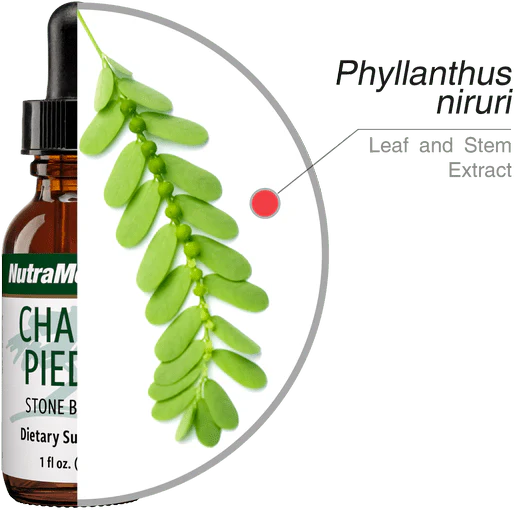 Składniki Chanca Piedra NutraMedix