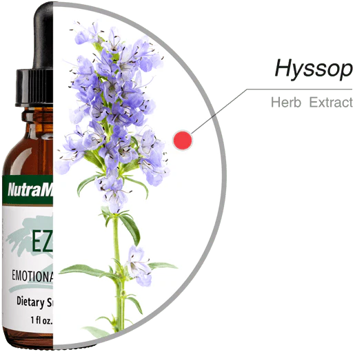 Składniki Ezov NutraMedix