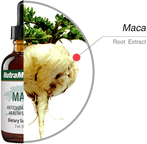Składniki Maca NutraMedix
