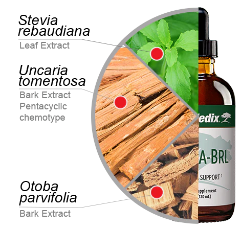 Składniki Nutra-BRL NutraMedix