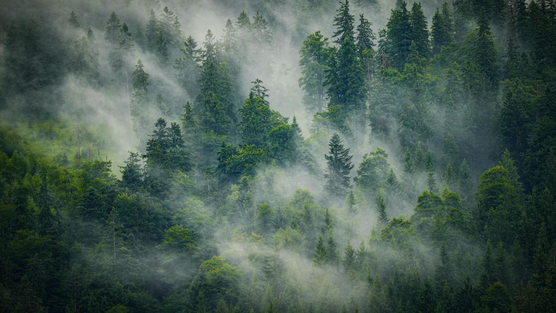 Filozofia NutraMedix