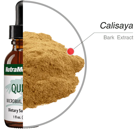 Składniki Quina NutraMedix