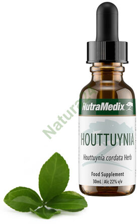 Houttuynia NutraMedix