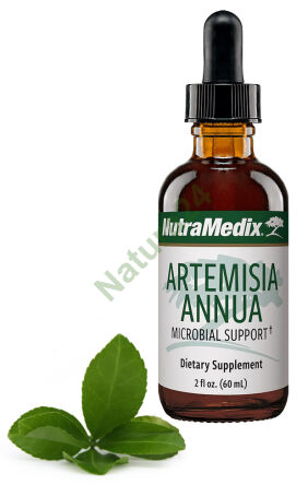 Artemisia Annua NutraMedix