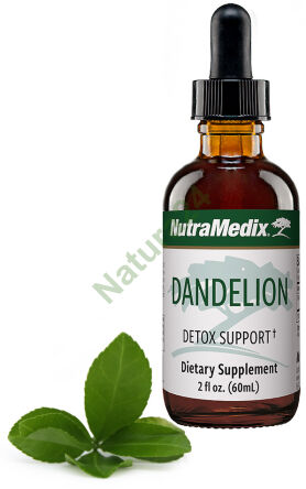 Dandelion NutraMedix