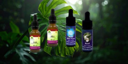 Regulacje i wsparcie esencjami FES & Ararêtama